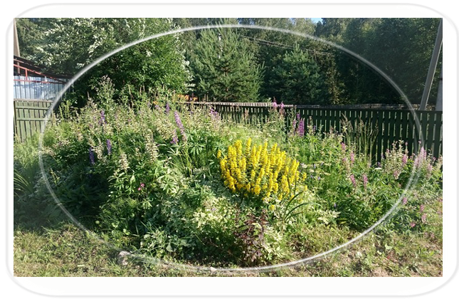 клумба у въезда